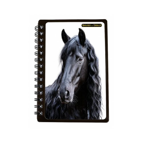 Agenda HDC Madera Resina