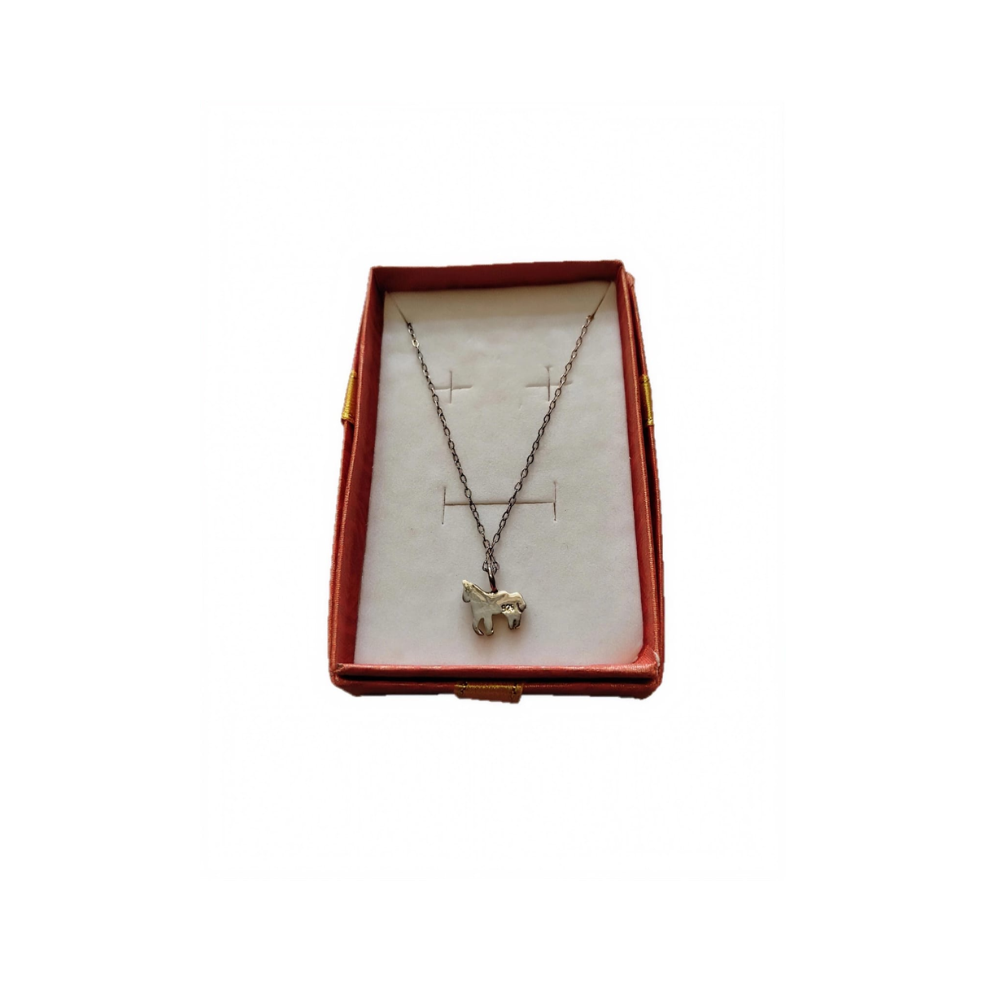 Cadena Dije Plata
